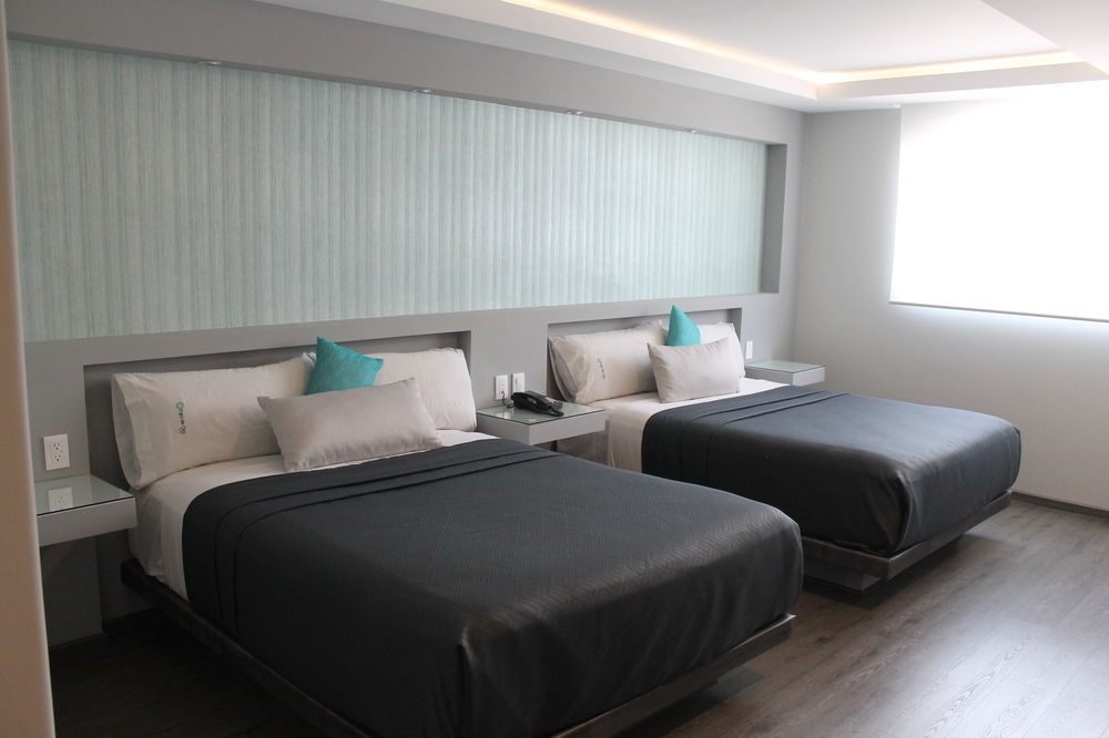 Hotel Mx Congreso Meksika Dış mekan fotoğraf